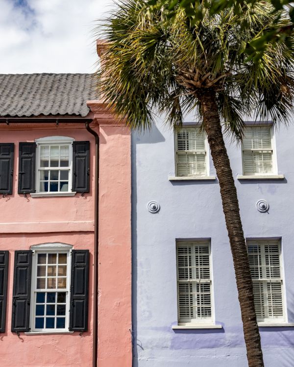 Colorful row houses in pink, purple, and teal with black shutters and a tall palm tree in front, sunny sky above.