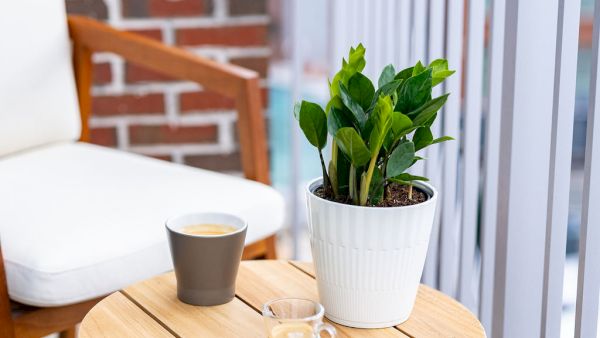 A cozy balcony scene with a wooden round table, a white planter plant, two coffee cups, and white cushioned chairs by a railing.