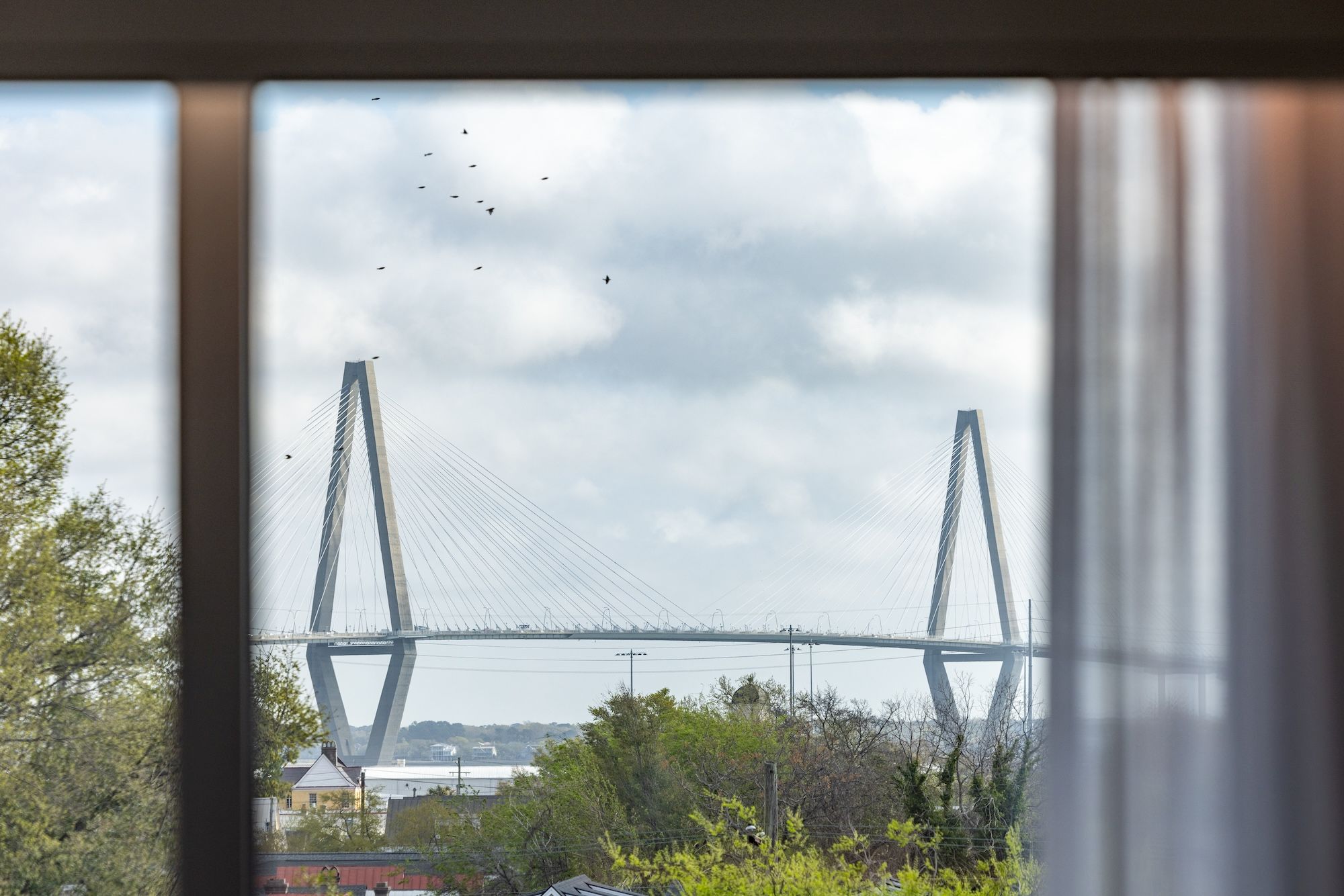 A view through a window shows a modern cable-stayed bridge in the distance, green trees below, and a cloudy sky above, birds flying.