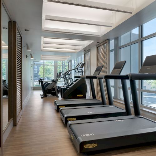Indoor gym hall with treadmills, daylight from tall windows, and wooden shutters lining the walls.